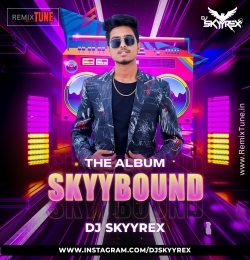 SKYBOUND DJ SKYYREX VOL 01