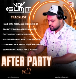 AFTER PARTY VOL.2