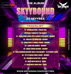 Jamal Kudu x Bade Miya x Daaru Peeke Dance - DJ SKYYREX Mashup  (Skyybound vol 1)