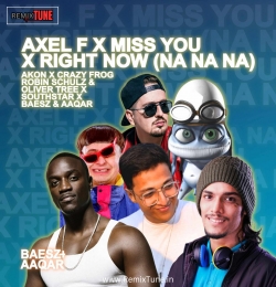 Miss You X Axel F X Right Now -BAESZ Mashup