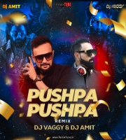 Pushpa Pushpa - DJs Vaggy  Amit Circuit Remix