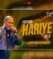 PRITHIBI HARIYE GELO (REMIX) D JAY YASH X  DJ SOUVIK