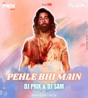 Pehle Bhi Main (Animal) - Dj Prix DJ Sam