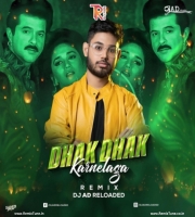 Dhak Dhak Karne Laga ( Remix ) DJ AD Reloaded