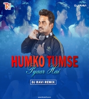 Humko Tumse Pyar Hai - ishq - DJ RAVI Remix