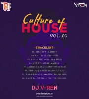 Dard-E-Disco Organic House Mix DJ V-REN