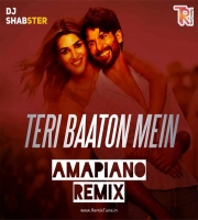 Teri Baaton Mein Amapiano (Remix) - Dj Shabster