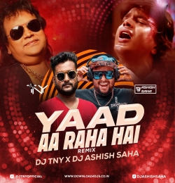 Yaad Aa Raha Hai (Remix) - Dj TNY X Dj Ashish Saha